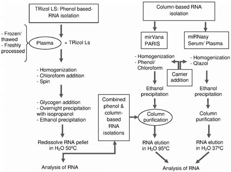 Flow Chart Of The Different Total Rna Extraction Methods