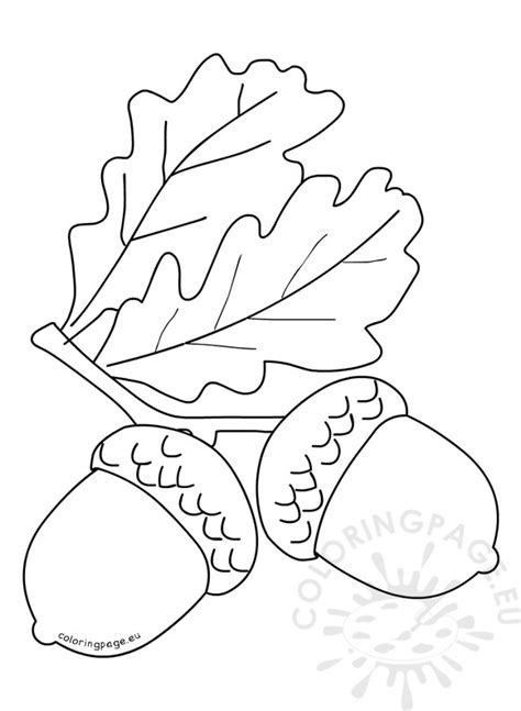 autumn coloring page acorns  leaves coloring page