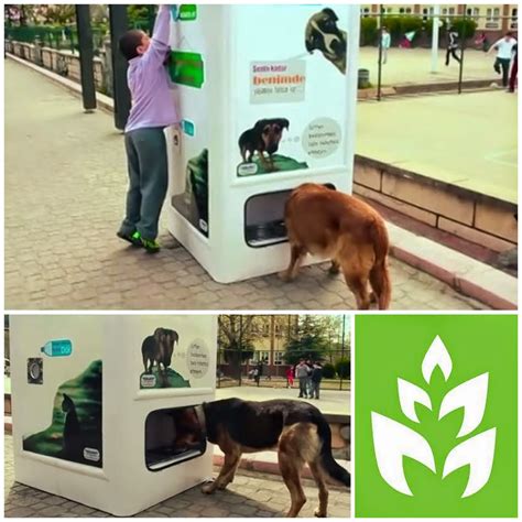máquina troca recicláveis por ração para animais de rua instituto
