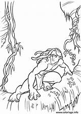 Tarzan Kolorowanki Bestcoloringpagesforkids Bojanke sketch template