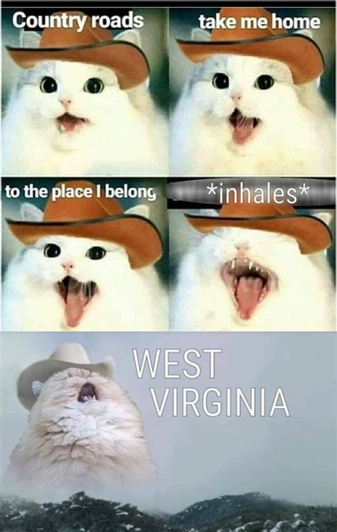 the best country memes memedroid