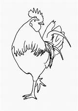 Cocos Colorat Rooster Desene Planse Mewarnai Ayam Roosters Chickens Animale Cocosi Domestice Trafic Mancare Pelea Gallos Cocosul sketch template