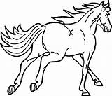 Coloring Arabian Horse Fast Wecoloringpage Pages sketch template