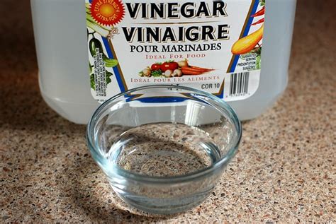 modernistic   clean  vinegar