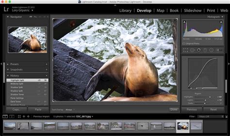 image editing tools       pro