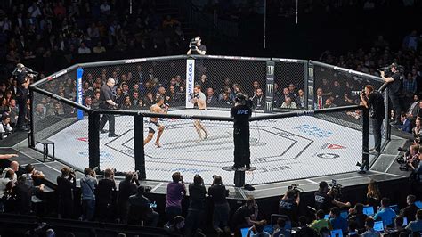 mma closer   legal    york  assembly votes  lift