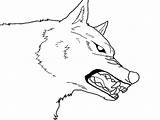 Wolf Snarling Line Deviantart sketch template