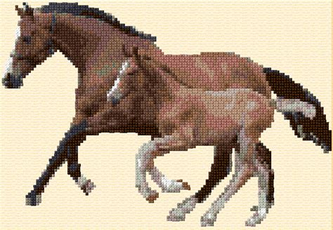cross stitch horse  foal xstitch chart design