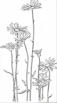 coloring pages daisy  natural world flowers  printable