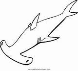 Hammerhai Fische Ausmalen Malvorlage sketch template