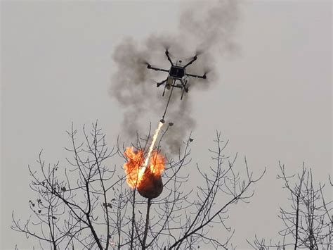 overkill flamethrower drone incinerates wasp nests  china shropshire star