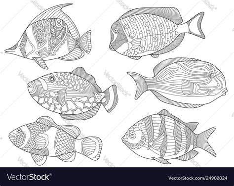 underwater tropical fishes coloring page set vector image