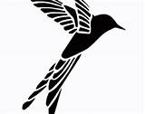 Flying Stencil Birds Bird Clip Stencils Designs sketch template