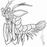 Mantis Shrimp Drawing Monster Storm Getdrawings sketch template