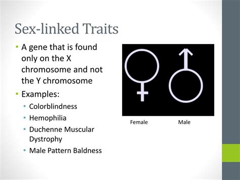 ppt adva nced genetics multiple alleles and sex linked traits