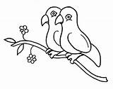 Burung Sketsa Lovebird Mudah Mewarnai Bagus sketch template