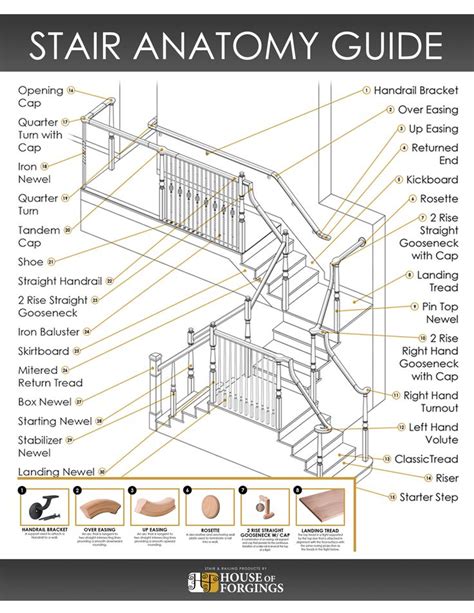updated stair anatomy guide   great tool    navigate