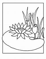 Lily Coloring Water Flower Pad Pages Frog Print Clipart Lilies Drawing Kids Clip Cartoon Flowers Pads Color Draw Popular Library sketch template