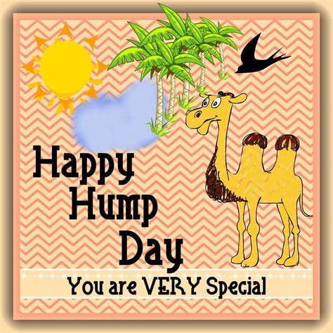 Camel Happy Hump Day Quote Pictures Photos And Images