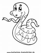 Schlange Schlangen Tiere Malvorlagen sketch template