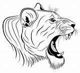 Lion Coloring Head Lioness Tattoo Roaring Female Leeuwin Pages Vector Outline Drawing Clipart Lynx Stock Royalty Printable Lions Illustrations Color sketch template