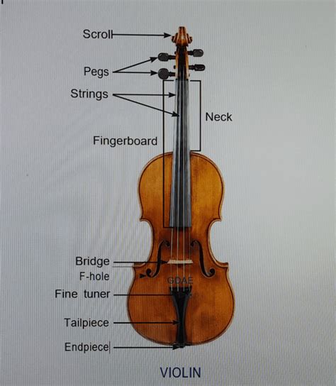 beginners guide  playing  carnatic violin  home blog sapa india
