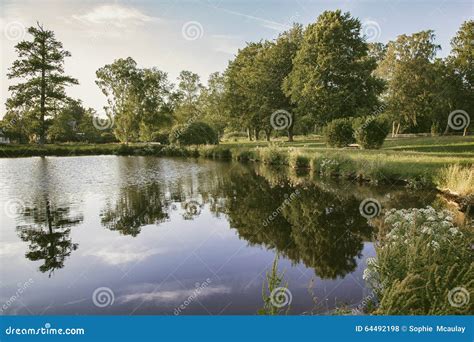 countryside park pond stock photo image  blue calm