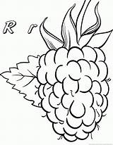 Raspberry Coloring Pages Part Getdrawings Drawing sketch template