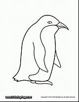 Winter Penguin Coloring Pages Getdrawings sketch template