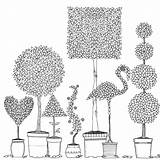 Coloring Topiary Pages Garden Secret Book Basford Johanna Topiaries Choose Board Drawing Colouring sketch template