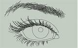 Thoughtcatalog Erase Eyebrow sketch template