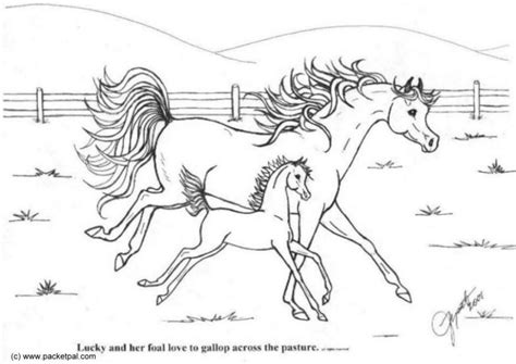 beautiful coloring pages  realistic horses  adults letscolorit