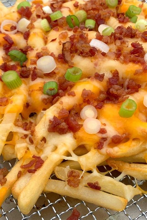 bacon cheese loaded french fries plowing  life