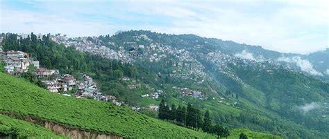 darjeeling honeymoon tour packages from chennai india