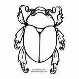 Scarab Beetle sketch template