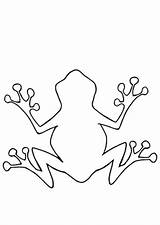 Frosch Umriss Ausdrucken Ausmalbild Malvorlagen Zeichnung Frösche Froesche Tiervorlagen Ausmalen Schablonen Besuchen Dein Gemerkt Kostenlos sketch template
