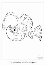 Angler Kidadl sketch template