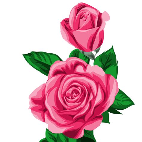 flor rosa roja  png