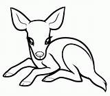 Deer Coloring Baby Pages Printable Kids Drawings Clipart Drawing Cute Easy Draw Color Animals Cartoon Print Animal Sketch Adults Mule sketch template