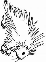 Porcupine Coloring Pages Clipart Color Animals Sheet Cliparts Dubois Clip Library Sketch Town Template sketch template