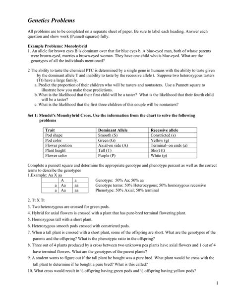 30 Can You Correctly Label The Genotypes And Phenotypes In This Punnett