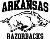 Arkansas Razorbacks Silhouette Football Coloring Razorback Pages Logo Clipart Printable Custom Svg Shirt College Screen Hog Outline Printed Stencil Etsy sketch template