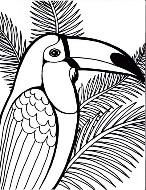 top  beautiful high detailed illustrations  parrot coloring pages