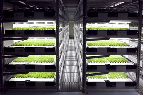 veggie factory world s first vertical farm run entirely by robots
