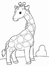 Giraffe Coloring Kids Pages Small Printable Top Tail sketch template
