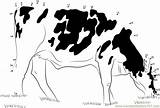 Holstein Cows sketch template