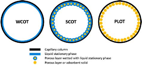 types  capillary columns modified  de lloyd   scientific diagram