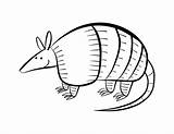 Armadillo Clipground Bestcoloringpagesforkids Webstockreview Armadillos sketch template