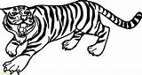 Tiger Coloring Pages Outline Easy Drawing Siberian Line Printable Saber Tooth Drawings Kids Print Face Sheets Bengal Animal Angry Tigers sketch template