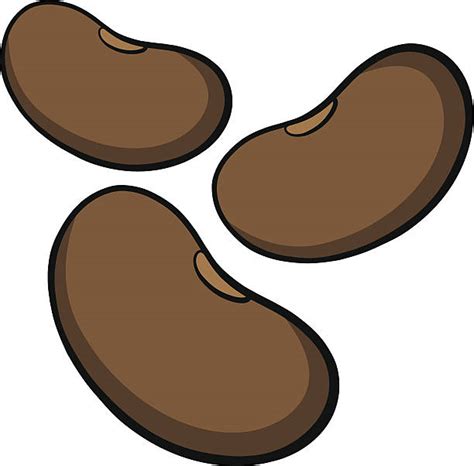 pinto bean illustrations royalty free vector graphics and clip art istock
